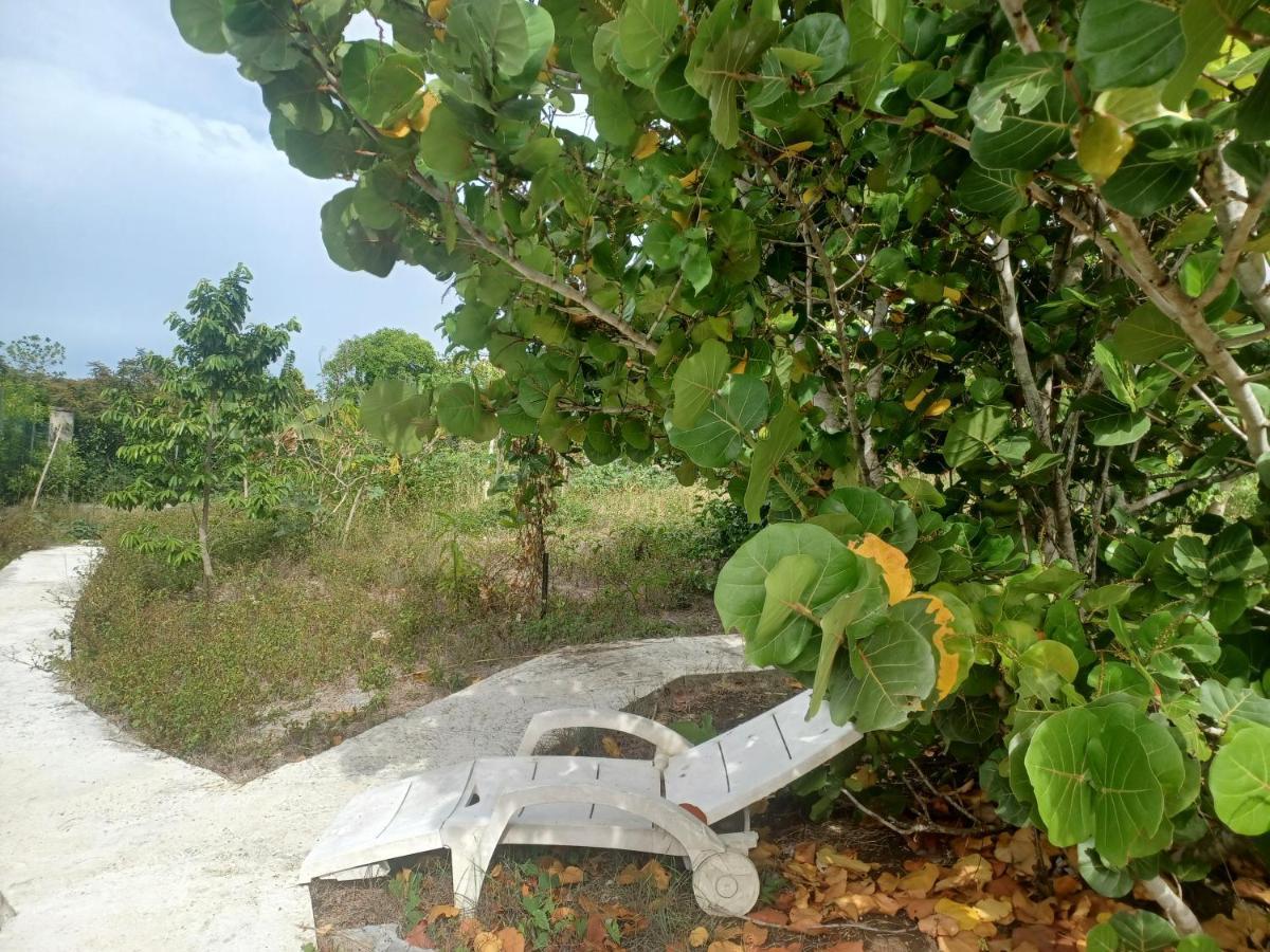 Villa "Le Champs" Des Oiseaux Anse-Bertrand Exterior foto